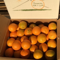 Апельсины Тарокко Галло для свежевыжатого сока .